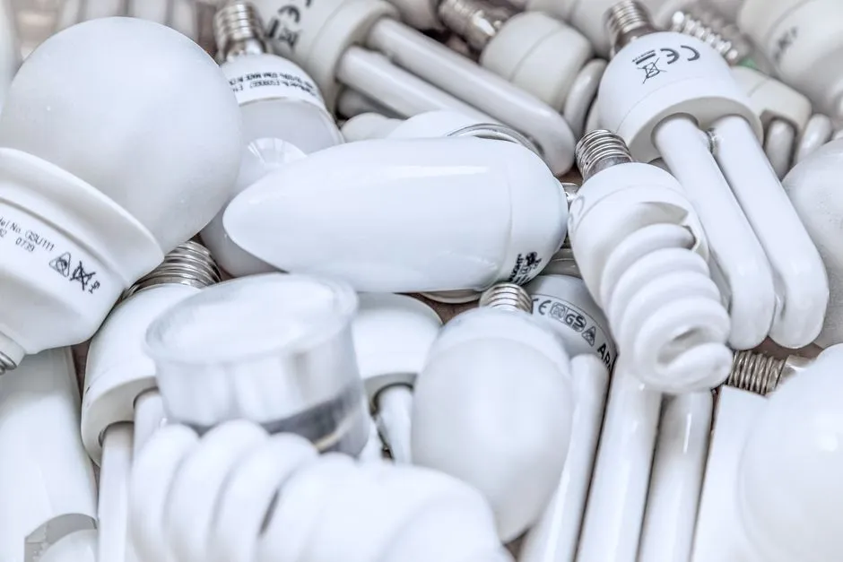 Energy-efficient light bulbs carrying electrical compliance markings
