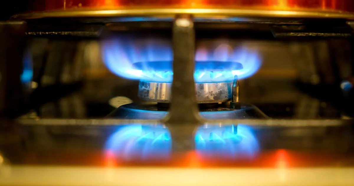 Blue flames burning on a domestic gas hob ring, seen close up against a dark background